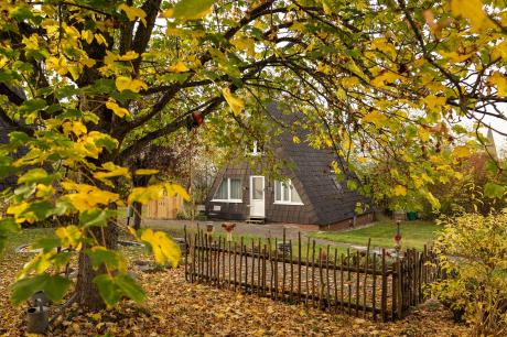 Ferienhaus Deutschland - Sauerland: 