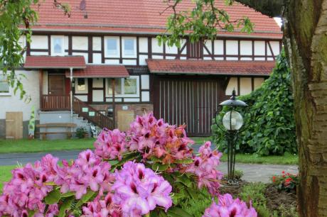 Vakantiehuis Duitsland - : 