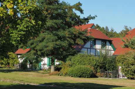 Ferienhaus Deutschland - : 