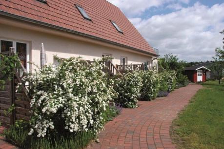 Ferienhaus Deutschland - : 