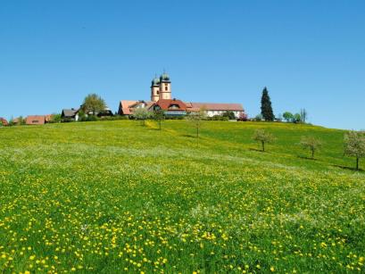 Vakantiehuis Duitsland - Zwarte woud: 