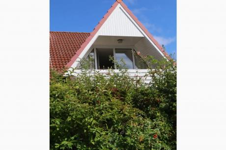 Vakantiehuis Duitsland - : 