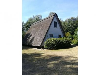 Ferienhaus Deutschland - Lüneburger Heide: 