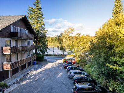 Ferienhaus Deutschland - Harz: 