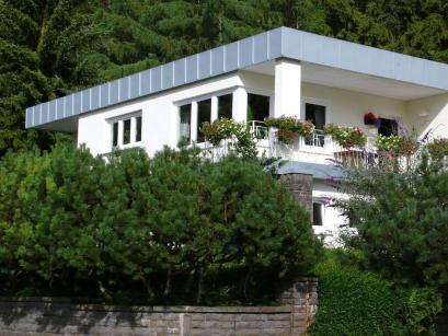 Holiday home Germany - Eifel: 