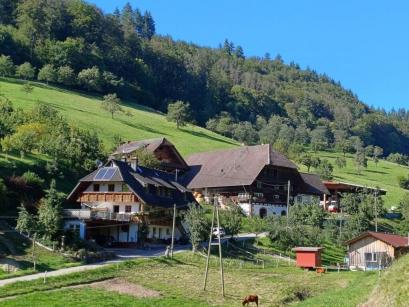 Ferienhaus Deutschland - Schwarzwald: 