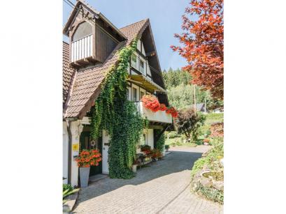 Ferienhaus Deutschland - Sauerland: 