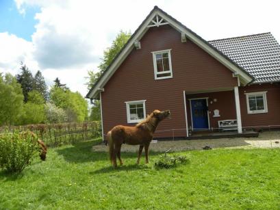 Ferienhaus Deutschland - Eifel: 