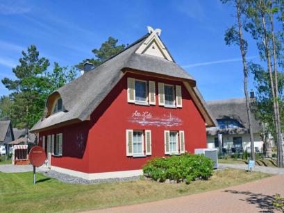 Ferienhaus Deutschland - : 