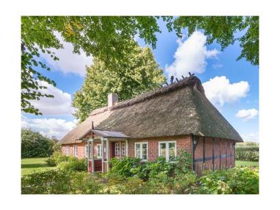 Ferienhaus Deutschland - : 