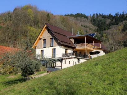 Ferienhaus Deutschland - Schwarzwald: 