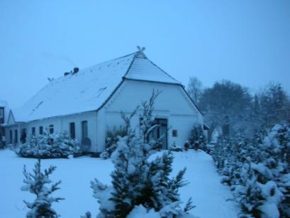 Ferienhaus Deutschland - Lüneburger Heide: 