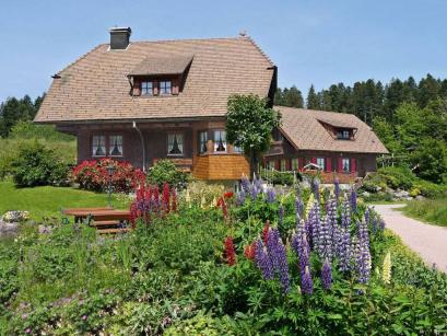 Holiday home Germany - Black Forest: 