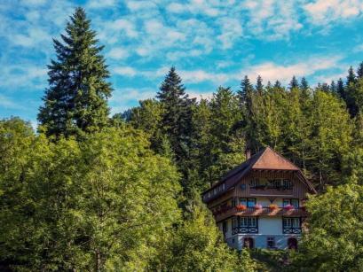 Ferienhaus Deutschland - Schwarzwald: 