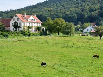 Vakantiehuis Duitsland - Zwarte woud: 