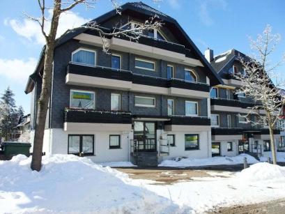 Ferienhaus Deutschland - Harz: 