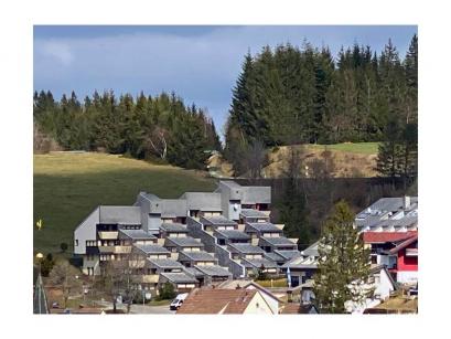 Ferienhaus Deutschland - Schwarzwald: 