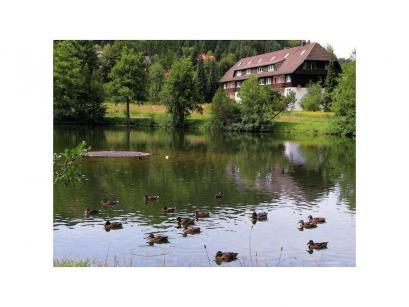 Holiday home Germany - Black Forest: 