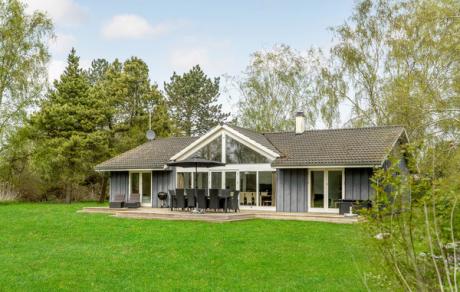 Holiday home Denmark - : 