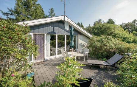 Vakantiehuis Denemarken - : 