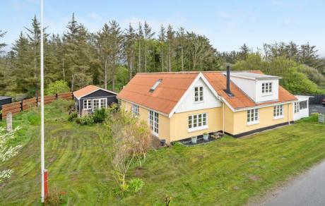 Holiday home Denmark - : 