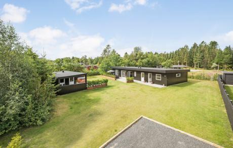 Holiday home Denmark - : 