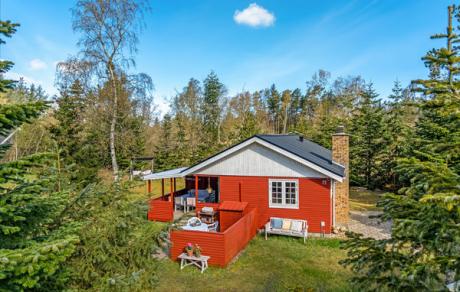 Holiday home Denmark - : 