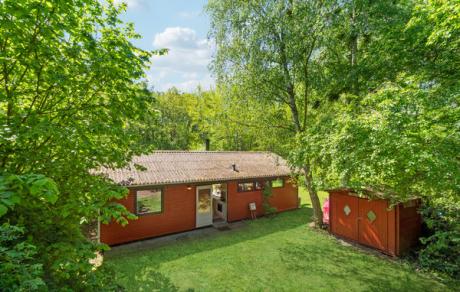 Holiday home Denmark - : 