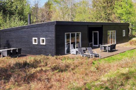 Holiday home Denmark - : 