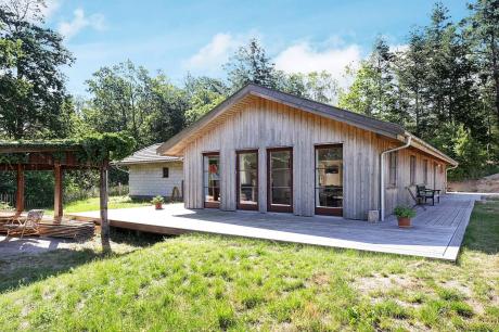 Holiday home Denmark - : 