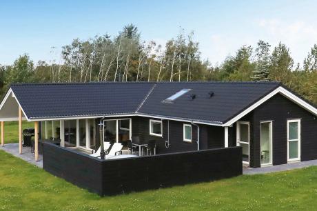 Ferienhaus Denemarken - : 