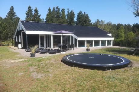 Holiday home Denmark - : 