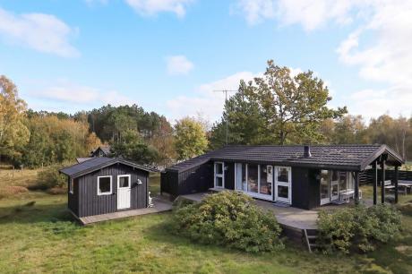 Vakantiehuis Denemarken - : 