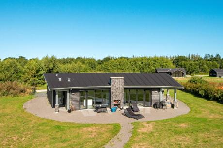 Holiday home Denmark - : 