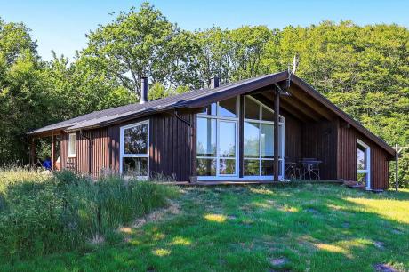 Holiday home Denmark - : 