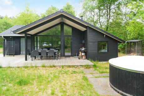 Holiday home Denmark - : 