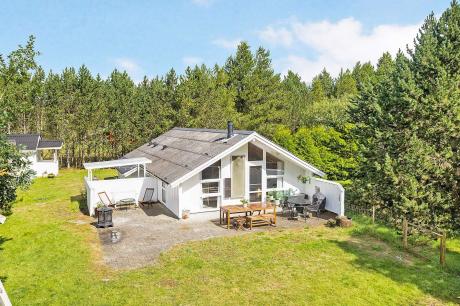 Ferienhaus Denemarken - : 