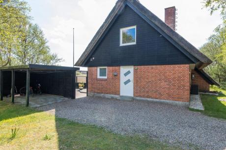 Holiday home Denmark - : 