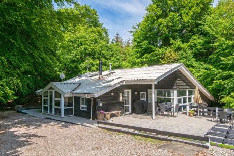 Holiday home Denmark - : 