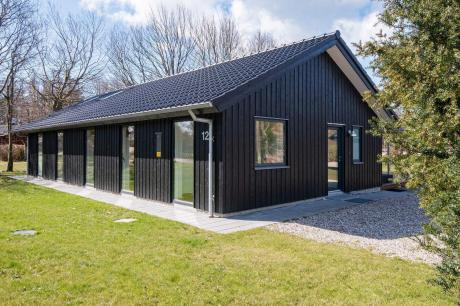 Holiday home Denmark - : 