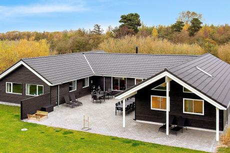 Holiday home Denmark - : 