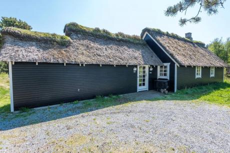 Holiday home Denmark - : 