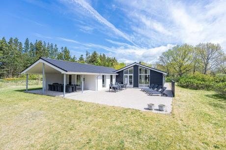 Holiday home Denmark - : 