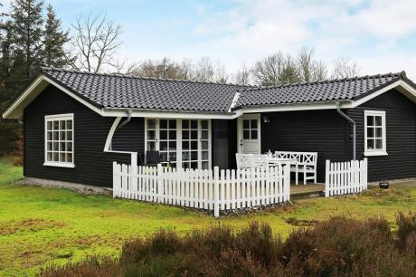 Holiday home Denmark - : 