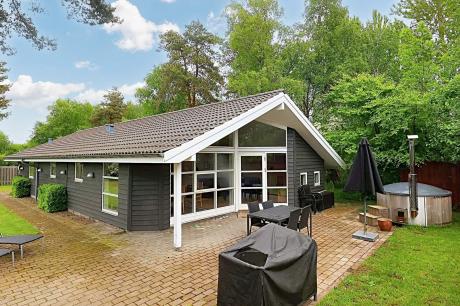 Holiday home Denmark - : 