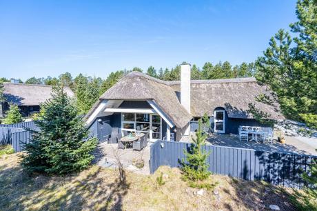 Holiday home Denmark - : 