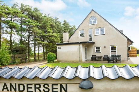 Ferienhaus Denemarken - : 