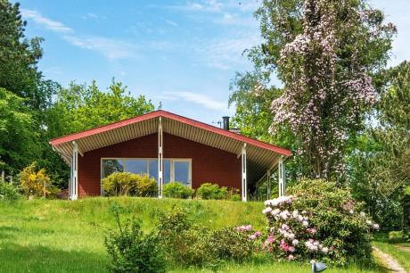 Ferienhaus Denemarken - : 