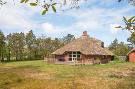 Ferienhaus Denemarken - : 