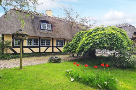 Ferienhaus Denemarken - : 